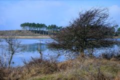 104-fluss-IMG_2459_1_800-Sign