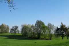 Bad Salzhausen