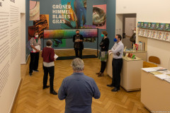 Museum Weltkulturen Farben
