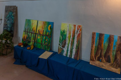 Lich Kunst in Scheunen