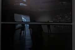 Intelligenz der Pflanzen Kunstverein Ffm