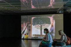 Intelligenz der Pflanzen Kunstverein Ffm