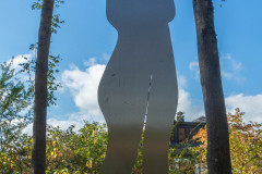 Auenkunst