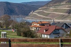 Bingen