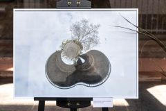 311-IMG_8353-800-px