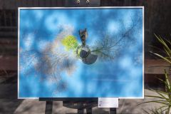 IMG_8355-2-800-px