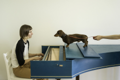 Flux Harpsichord Concert, 2017, from the series Règle du jeu