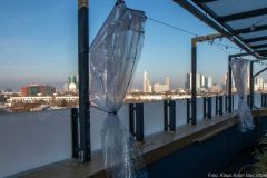 802-IMG_5313_1000-pxH