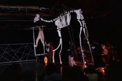 102-IMG_7265_H-1000-px