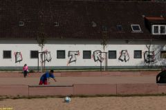 IMG_4892_H-1000-px