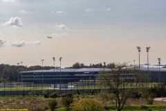 IMG_4905_H-1000-px
