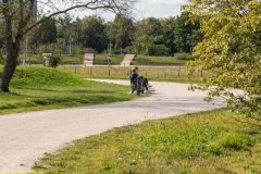 IMG_4912_H-1000-px
