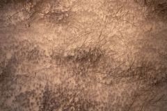 102-IMG_5171_H-1000-px