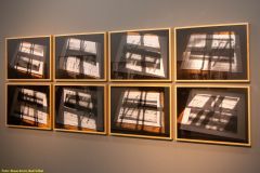 202-IMG_5164_H-1000-px