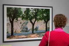 203-IMG_5165_H-1000-px