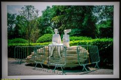 204-IMG_5168_H-1000-px