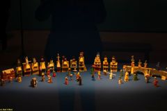 302-IMG_5647_H-1000-px