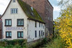 03-IMG_5863_H-1000px