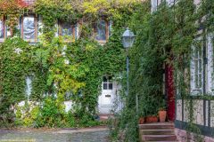 04-IMG_5878-Hospitalstrasse_H-1000px