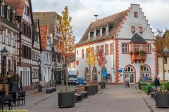 090-IMG_5866_H-1000px