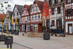 090-IMG_5895_H-1000px