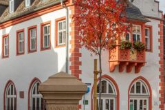 100-IMG_5865_H-1000px