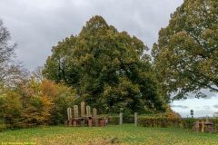 141-IMG_5850_H-1000px