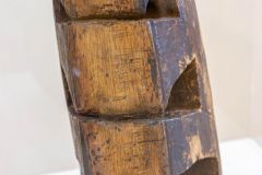 Reibidiophon, nunut |  Neuirlang, Bismarck Archipel, Melanesien