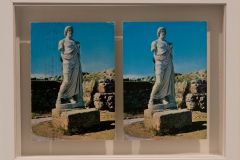 Tob222-IMG_7822-H1000px
