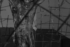 62-IMG_0025-Gintare-Sokelyte_H1000px