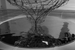 63-IMG_0064-Gintare-Sokelyte_H1000px