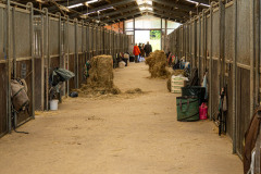 510-134A3774-Verbessert-RR