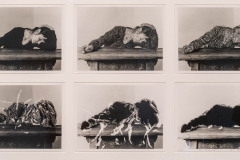 23-Annegret-Soltau-Ich-bedrueckt-kratzen-bis-zur-Unkentlichkeit-134A2850