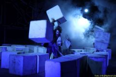 IMG_2003_cr