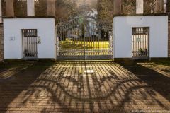 Bingen Villa Sachsen