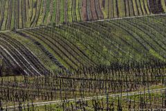 Bingen Rochuskapelle