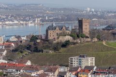 Bingen