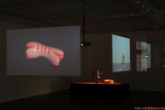 3-IMG_5723k-Kopie_800-_Sign