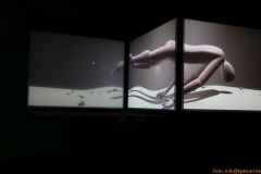 4-IMG_5733_800-_Sign